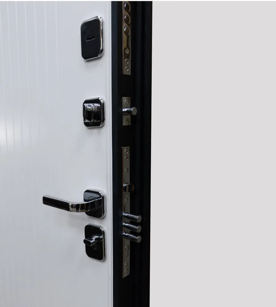 Товар Дверь Цербер SS-01 Только 96 DIS007136