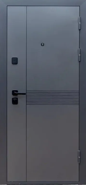 Товар Дверь Цербер Lang-yue Только 96 DIS007135